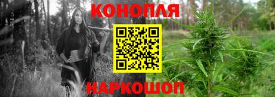 дурь Пенза