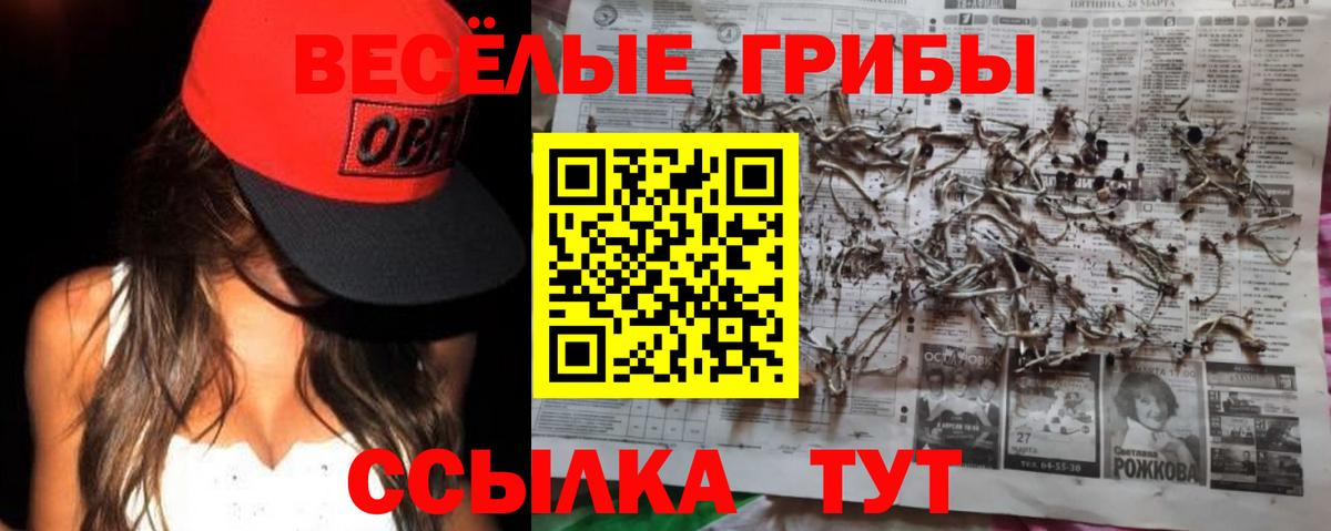 Псилоцибиновые грибы GOLDEN TEACHER Новочебоксарск